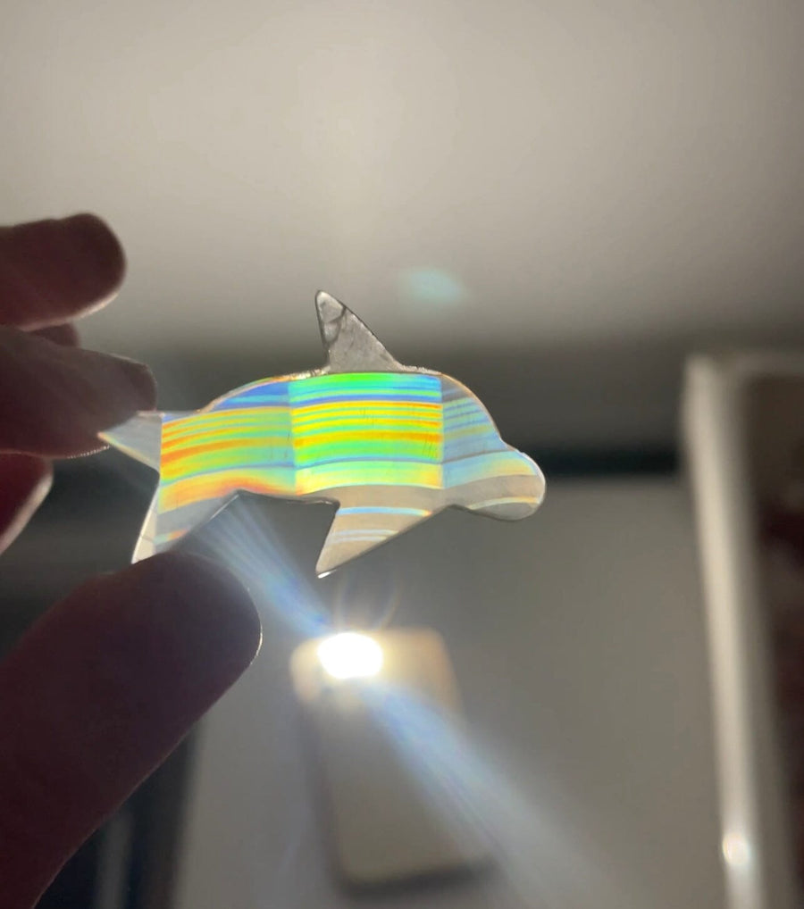 Rainbow Iris Agate Dolphin (see video) 3