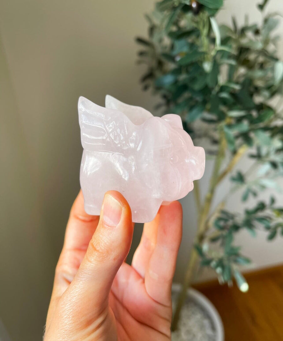 Rose Quartz Flying Pig Halo Quartz 