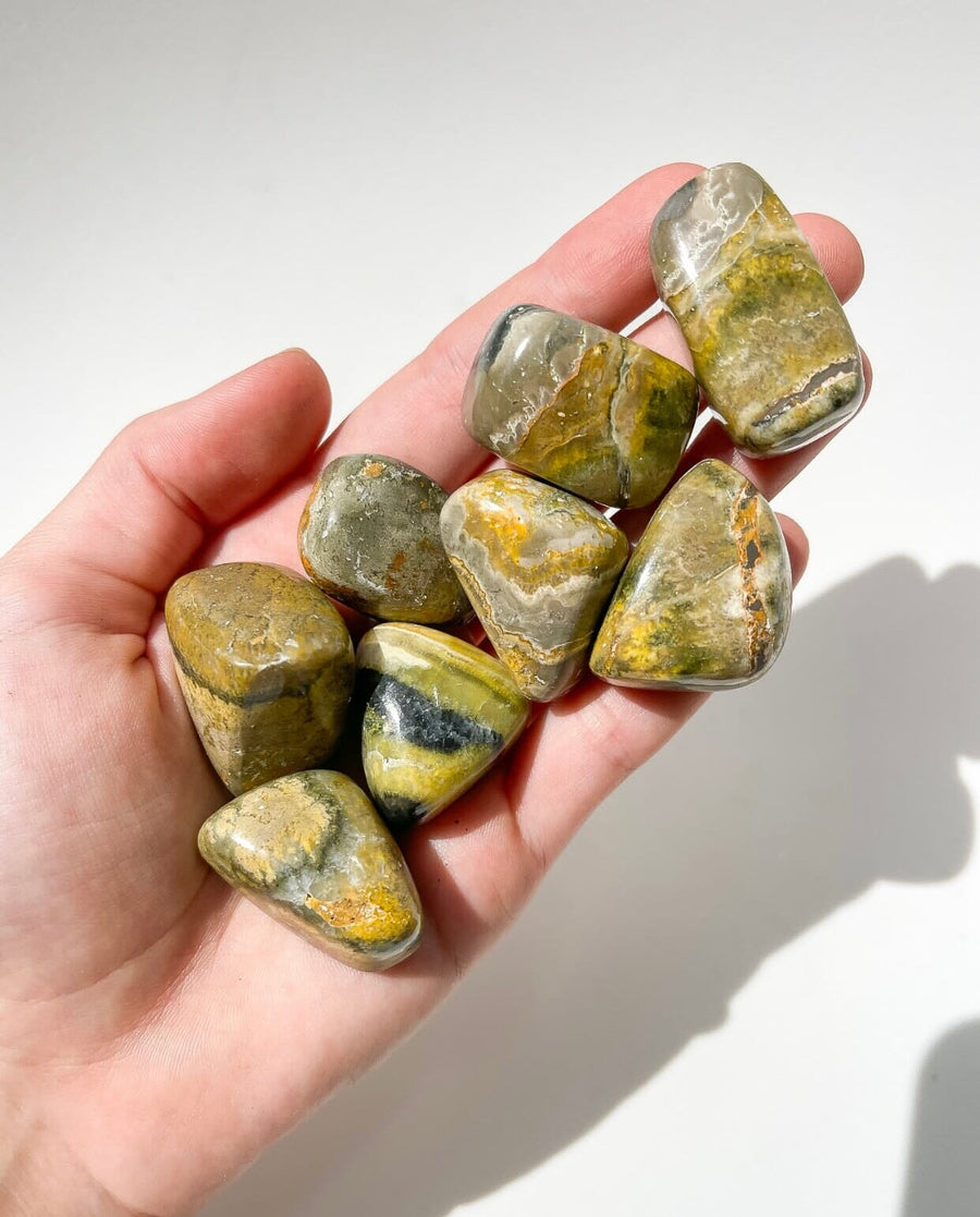 Bumblebee Jasper Halo Quartz 