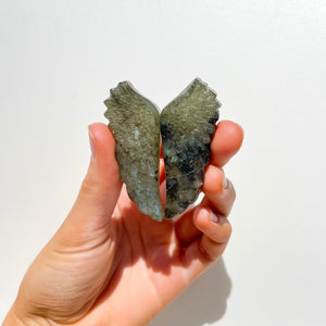 Labradorite Wing Set Halo Quartz 