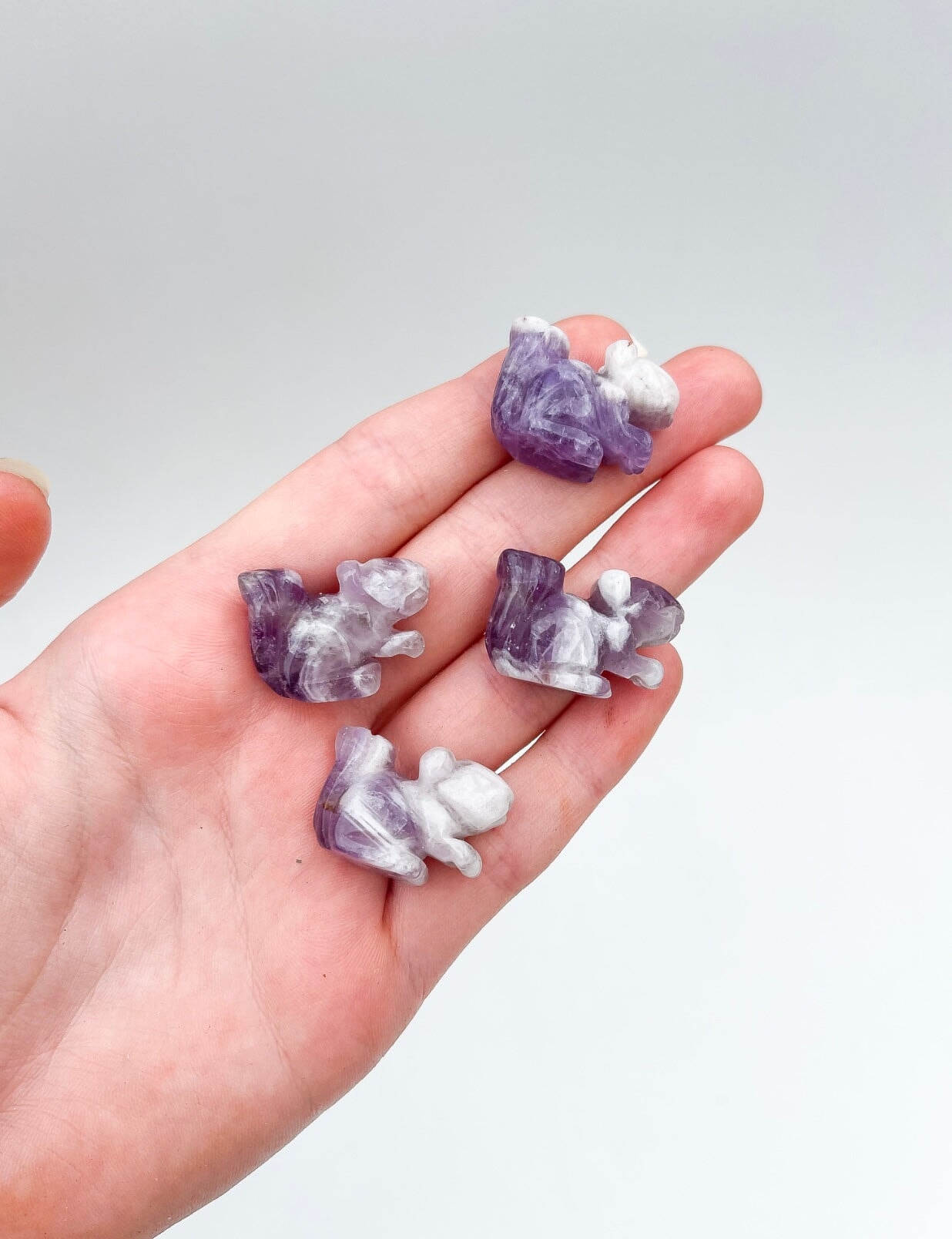 Amethyst Squirrel Halo Quartz 