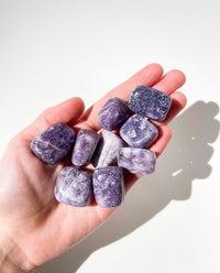 Lepidolite Lepidolite Halo Quartz 