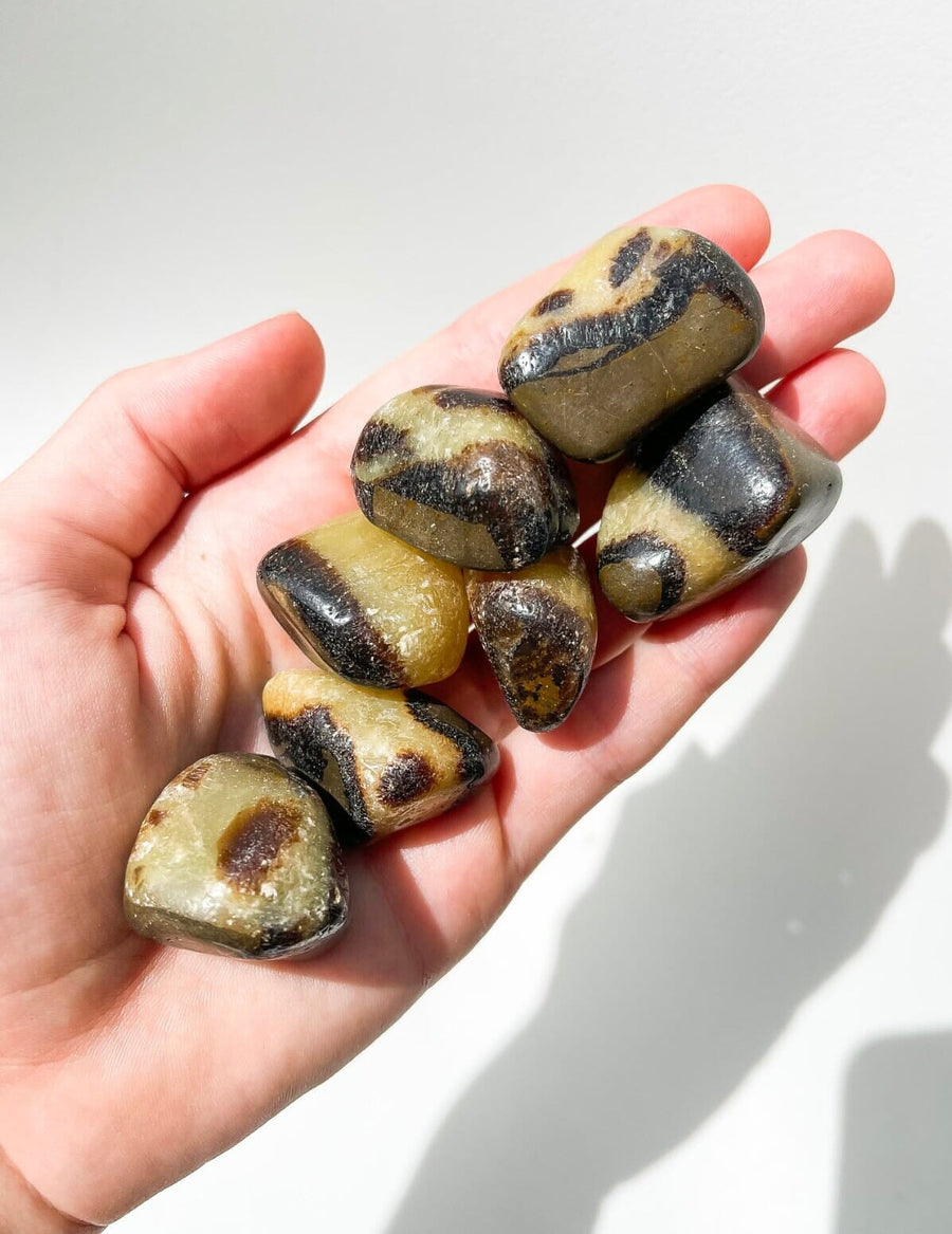 Septarian Halo Quartz 