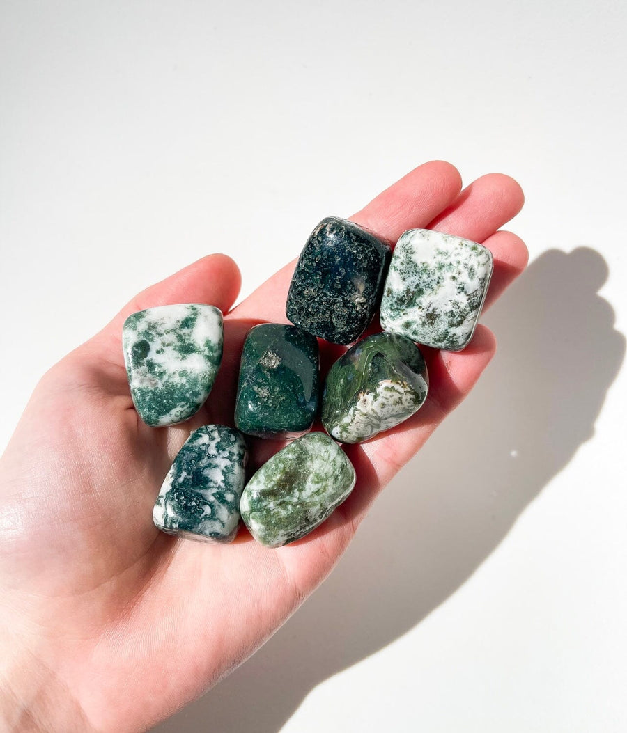 Tree Agate Tree Agate Halo Quartz 